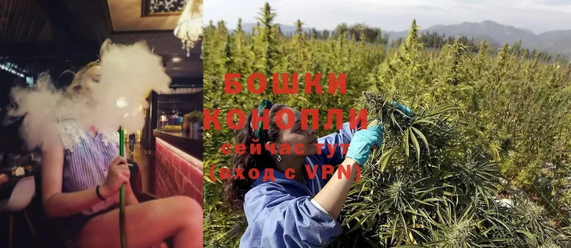 Шишки марихуана Ganja  сколько стоит  Сорск 